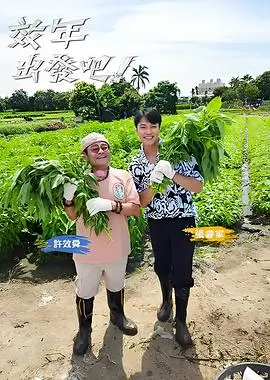 声音的形状音乐综艺高清在线观看